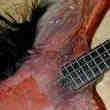 Basse Luthier avec Gros Manche