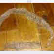 Mue de Serpent