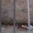 Local 4m2