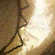Lampe
