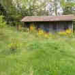 Chalet Avec Ecureuil