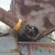 Cherche petite place ds hanger proche huelgoat